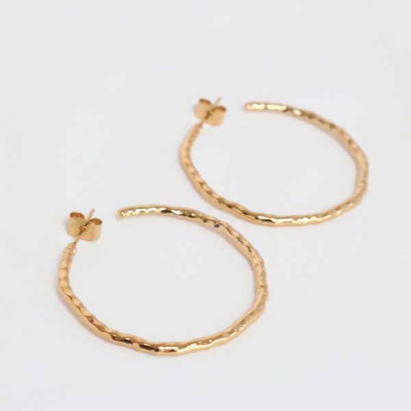 Aylin Earrings Gold