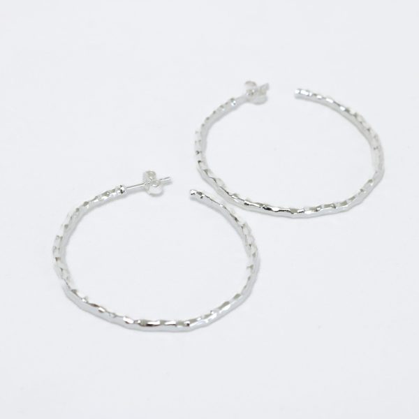 Aylin Earrings Silver