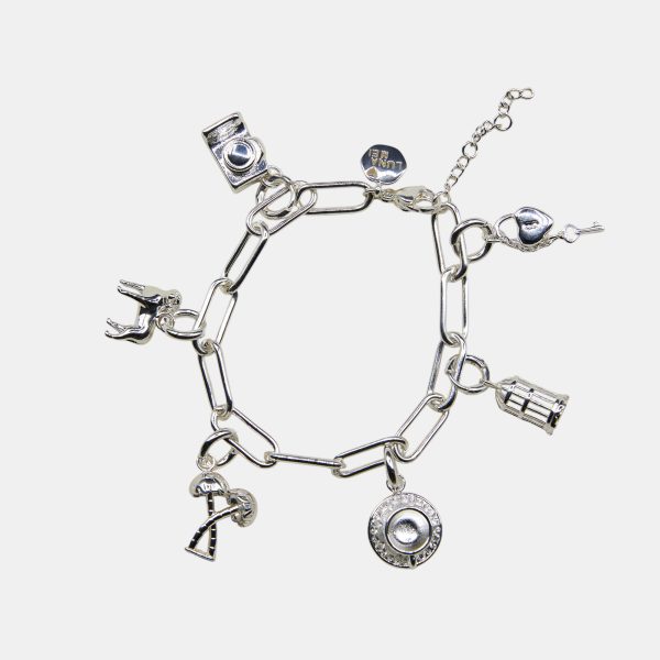 Chunky paperclip charm bracelet with removable charms