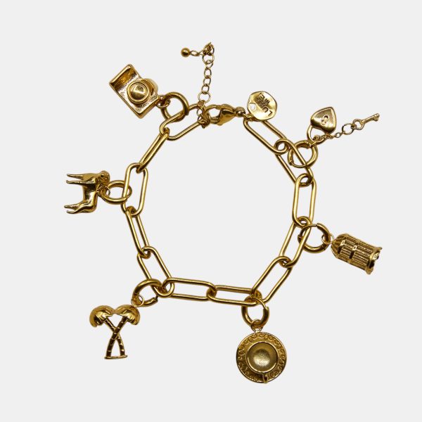 Chunky paperclip charm bracelet with removable charms
