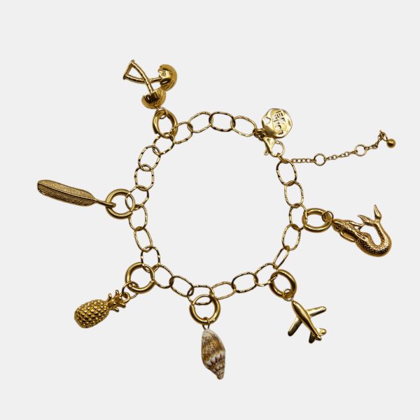 Texture Link Bracelet in gold with removable charms
