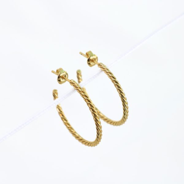 Desire Earrings Gold