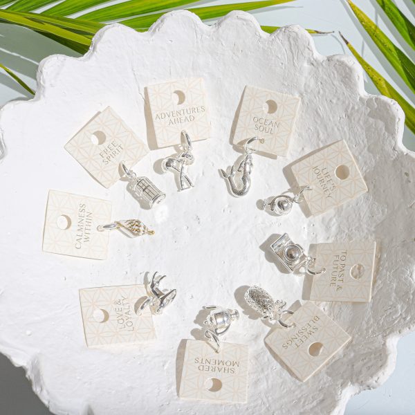 Silver Charms